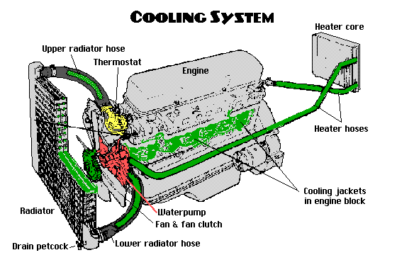 Looking for coolant leaks | Centric Auto Repair Facebook Post